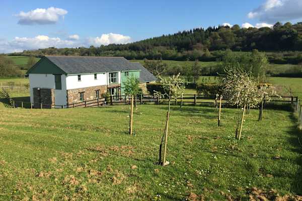 House sit in South Molton, United Kingdom