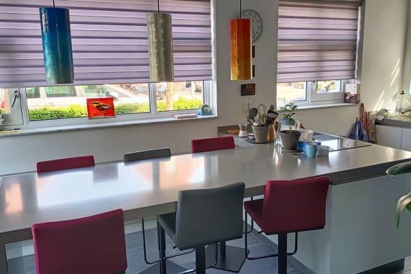 House sit in Arnhem, Netherlands