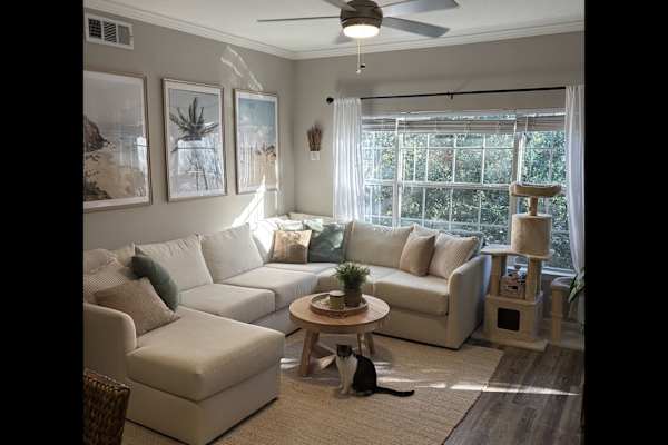 House sit in Tampa, FL, US