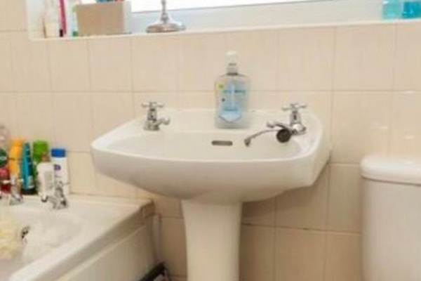 House sit in Lincoln, United Kingdom