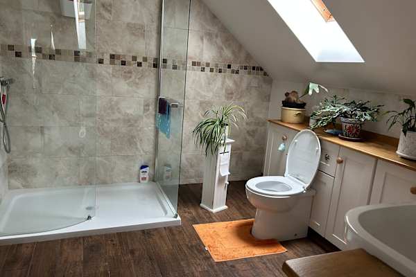 House sit in Axminster, United Kingdom
