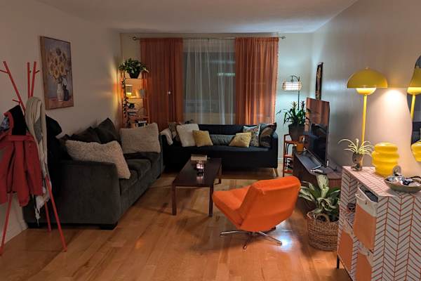 House sit in Boston, MA, US