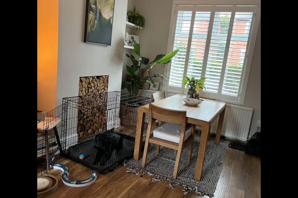 House sit in Manchester, United Kingdom