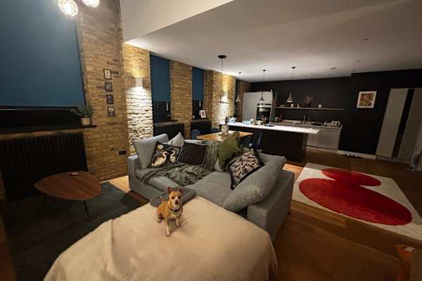 House sit in London, United Kingdom