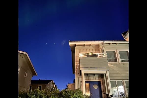 House sit in Umeå, Sweden