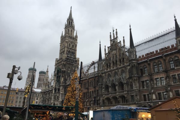 House sit in Munich, Germany