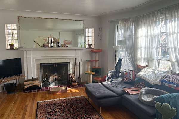 House sit in Detroit, MI, US