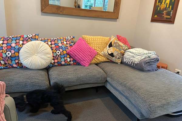 House sit in Newcastle, NSW, Australia