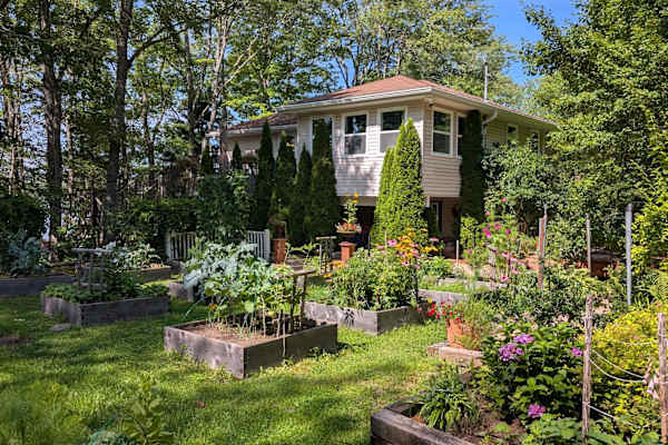 House sit in New Germany, NS, Canada