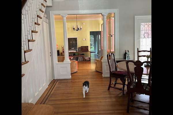 House sit in Philadelphia, PA, US