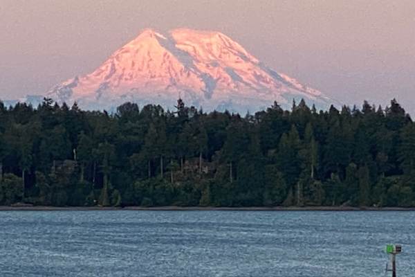 House sit in Olympia, WA, US