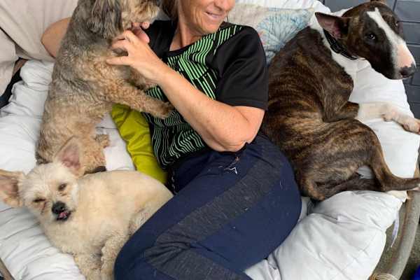 House sit in Tauranga, New Zealand