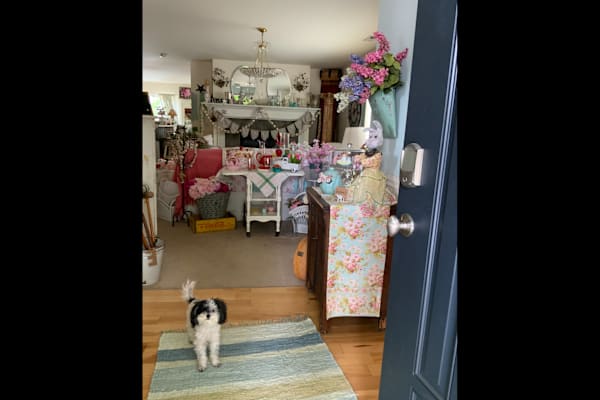 House sit in Bainbridge Island, WA, US
