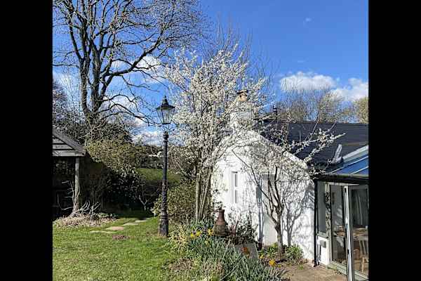 House sit in Clodock, United Kingdom