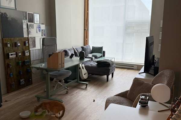 House sit in Montréal, QC, Canada