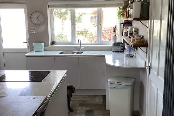 House sit in Ash, United Kingdom