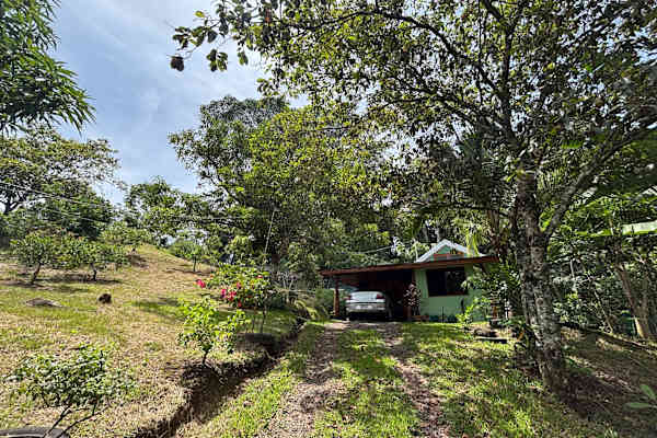 House sit in Atenas, Costa Rica
