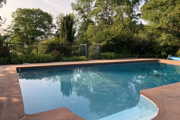 House sit in Charlottesville, VA, US