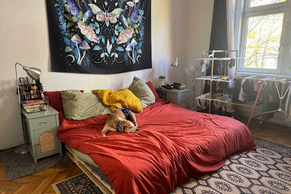 House sit in Vienna, Austria