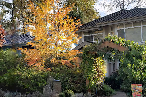 House sit in North Vancouver, BC, Canada