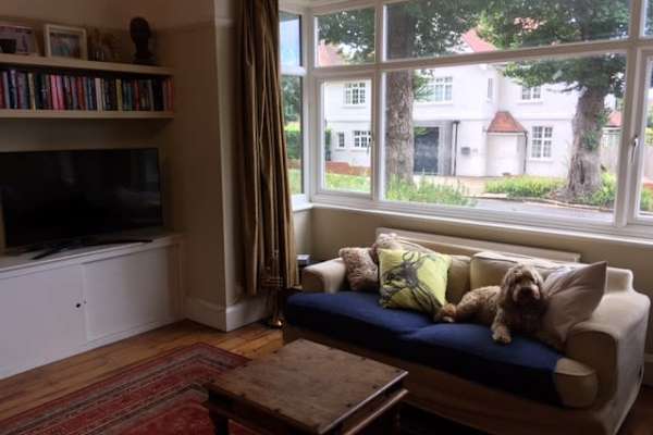 House sit in Hove, United Kingdom
