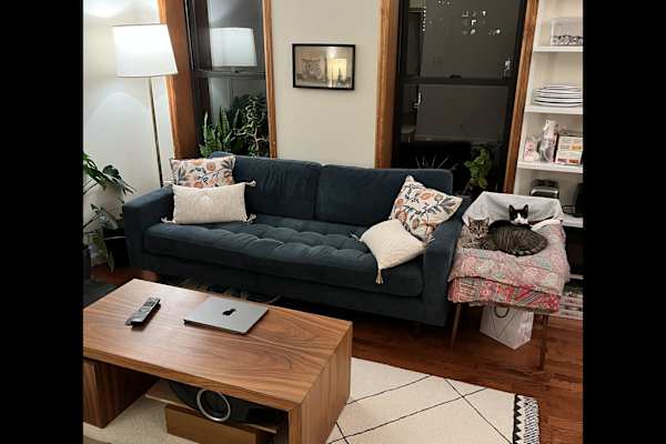 House sit in Brooklyn, NY, US