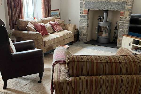 House sit in Somerton, United Kingdom