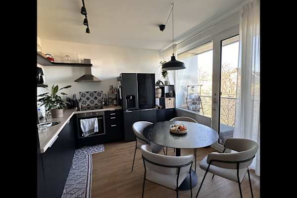 House sit in Berlin, Germany