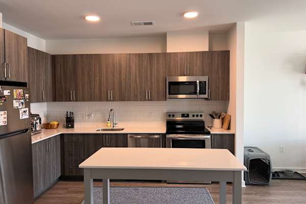 House sit in Tysons Corner, VA, US