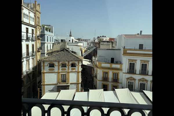 House sit in Sevilla, Spain