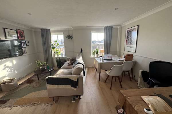 House sit in London, United Kingdom