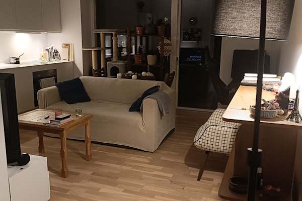 House sit in Århus, Denmark