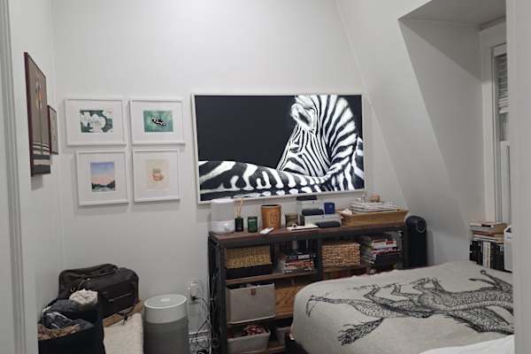 House sit in Boston, MA, US