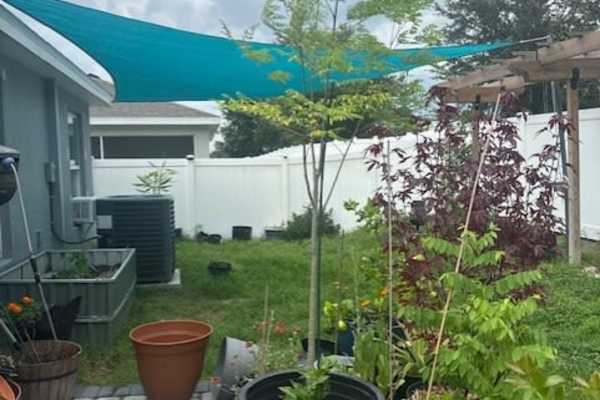 House sit in Davenport, FL, US