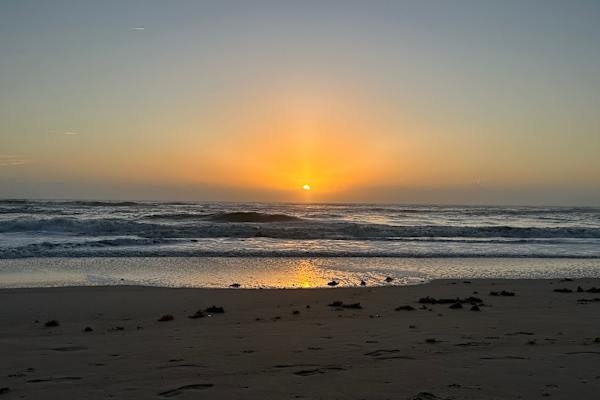 House sit in Flagler Beach, FL, US