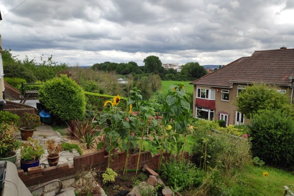 House sit in Bristol, United Kingdom