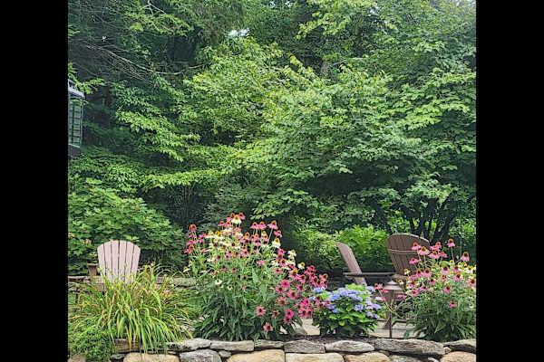 House sit in Belchertown, MA, US