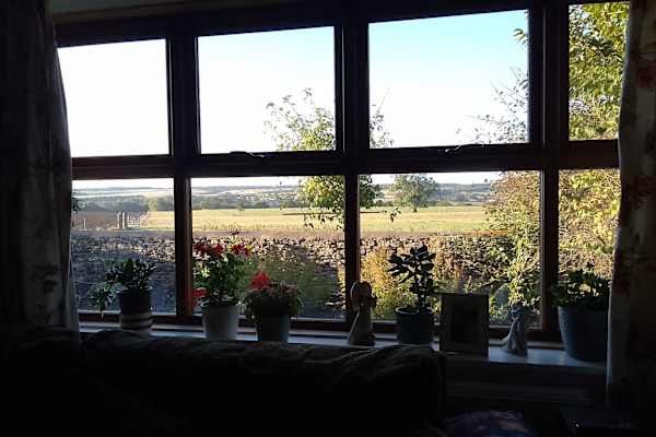 House sit in Helmsley, United Kingdom