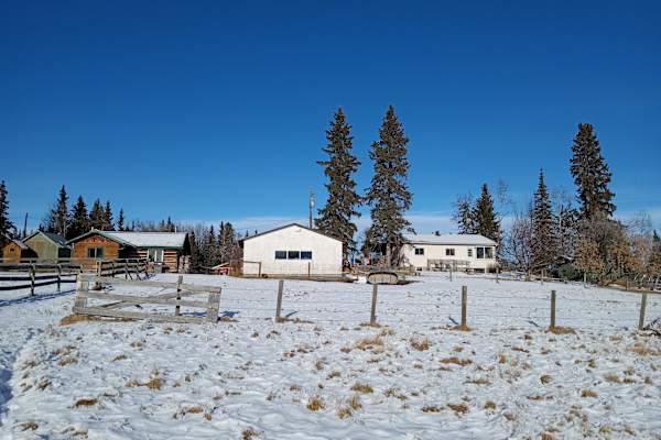 House sit in Sundre, AB, Canada