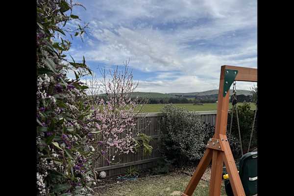 House sit in Melbourne, VIC, Australia