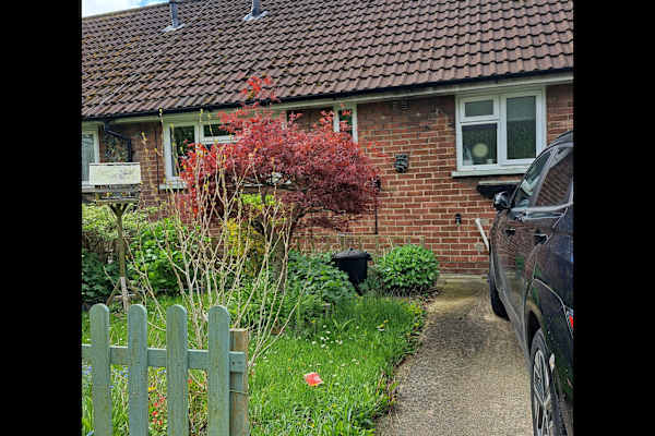 House sit in Cardiff, United Kingdom
