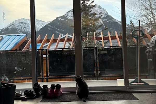 House sit in Canmore, AB, Canada