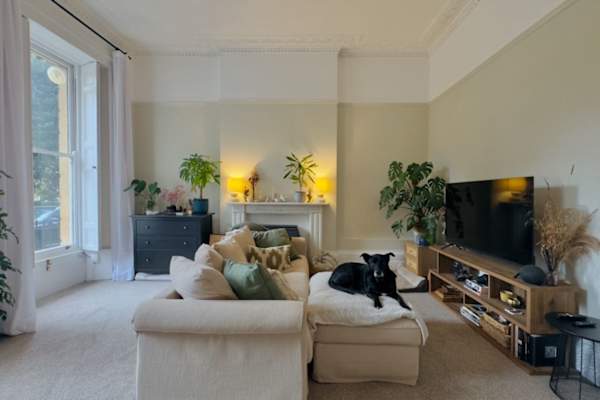 House sit in Bristol, United Kingdom