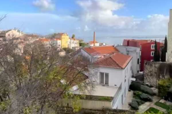 House sit in Lisbon, Portugal
