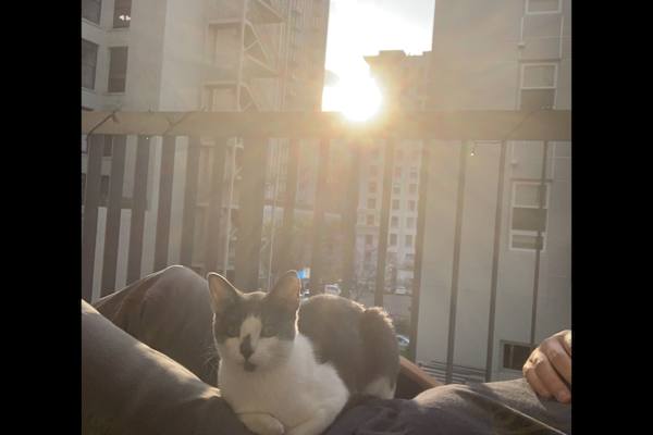 House sit in Los Angeles Downtown, CA, US