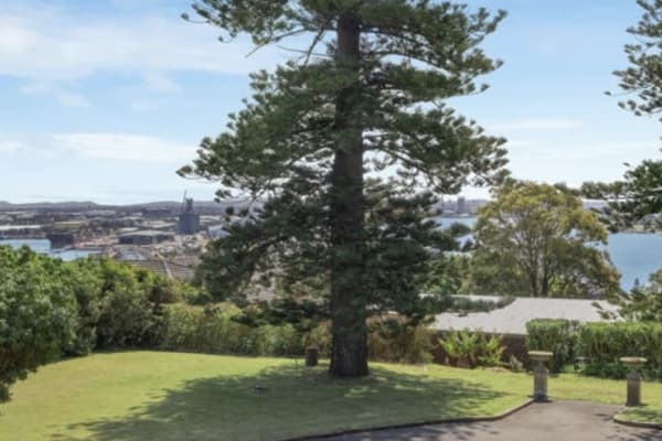 House sit in Newcastle, NSW, Australia