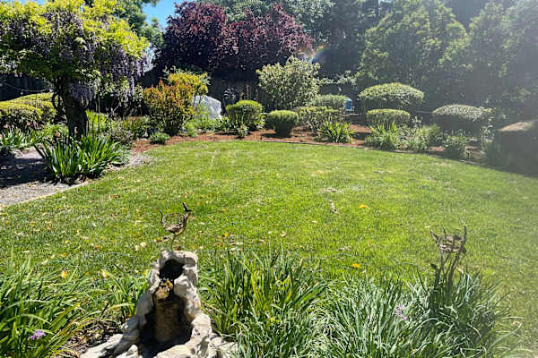 House sit in Sebastopol, CA, US