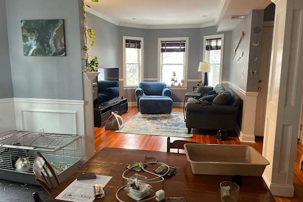 House sit in Boston, MA, US