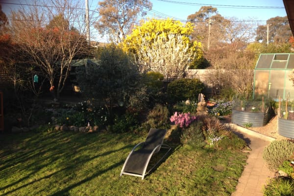 House sit in Canberra, Australian Capital Territory, Australia