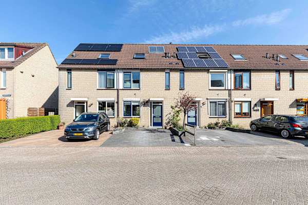 House sit in Gouda, Netherlands